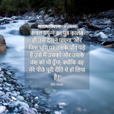 Picture 04 - व्यवस्थाविवरण 1:36 HINIRV - केवल यपुन्‍ने का - Bible Verse Picture