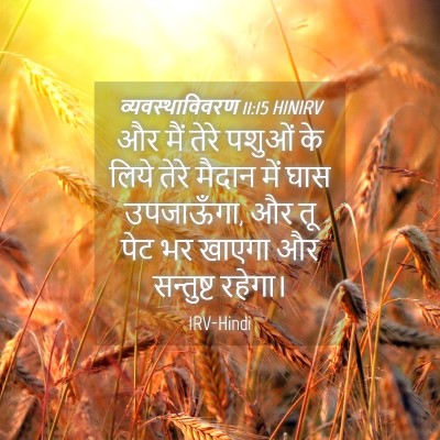 Picture 04 - व्यवस्थाविवरण 11:15 HINIRV - और मैं तेरे पशुओं - Bible Verse Picture