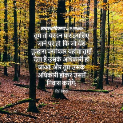 Picture 04 - व्यवस्थाविवरण 11:31 HINIRV - तुम तो यरदन पार - Bible Verse Picture