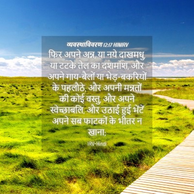 Picture 04 - व्यवस्थाविवरण 12:17 HINIRV - फिर अपने अन्न, या - Bible Verse Picture