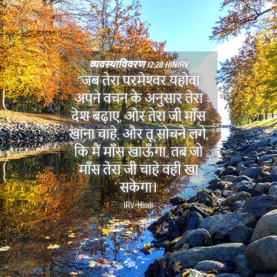 Picture 04 - व्यवस्थाविवरण 12:20 HINIRV - “जब तेरा - Bible Verse Picture