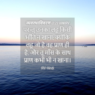 Picture 04 - व्यवस्थाविवरण 12:23 HINIRV - परन्तु उनका लहू - Bible Verse Picture