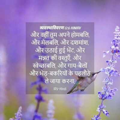 Picture 04 - व्यवस्थाविवरण 12:6 HINIRV - और वहीं तुम अपने - Bible Verse Picture
