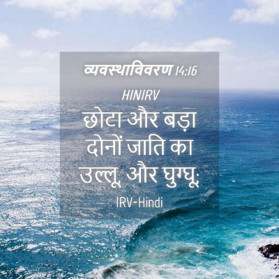 Picture 04 - व्यवस्थाविवरण 14:16 HINIRV - छोटा और बड़ा दोनों - Bible Verse Picture