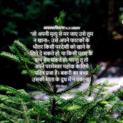 Picture 04 - व्यवस्थाविवरण 14:21 HINIRV - “जो अपनी मृत्यु से - Bible Verse Picture