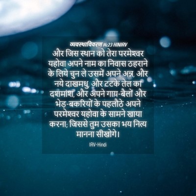 Picture 04 - व्यवस्थाविवरण 14:23 HINIRV - और जिस स्थान को - Bible Verse Picture