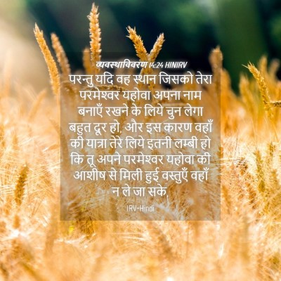 Picture 04 - व्यवस्थाविवरण 14:24 HINIRV - परन्तु यदि वह - Bible Verse Picture
