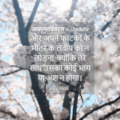 Picture 04 - व्यवस्थाविवरण 14:27 HINIRV - और अपने फाटकों के - Bible Verse Picture