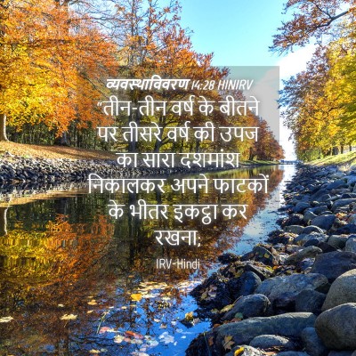 Picture 04 - व्यवस्थाविवरण 14:28 HINIRV - “तीन-तीन वर्ष के - Bible Verse Picture