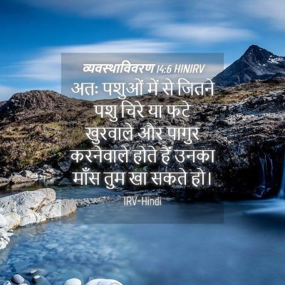 Picture 04 - व्यवस्थाविवरण 14:6 HINIRV - अतः पशुओं में से - Bible Verse Picture