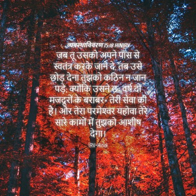 Picture 04 - व्यवस्थाविवरण 15:18 HINIRV - जब तू उसको अपने पास - Bible Verse Picture