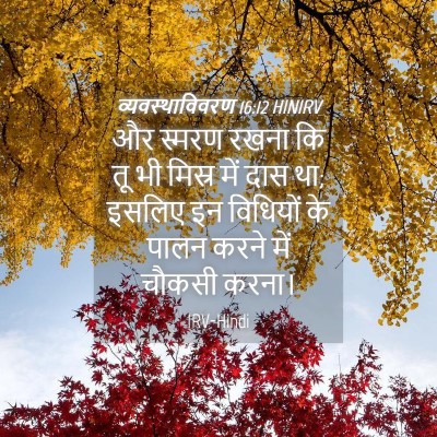 Picture 04 - व्यवस्थाविवरण 16:12 HINIRV - और स्मरण रखना कि तू - Bible Verse Picture