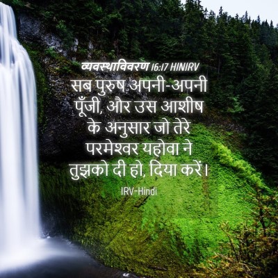 Picture 04 - व्यवस्थाविवरण 16:17 HINIRV - सब पुरुष अपनी-अपनी - Bible Verse Picture