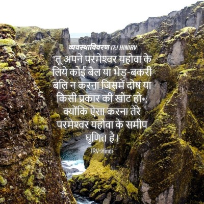 Picture 04 - व्यवस्थाविवरण 17:1 HINIRV - “तू अपने - Bible Verse Picture