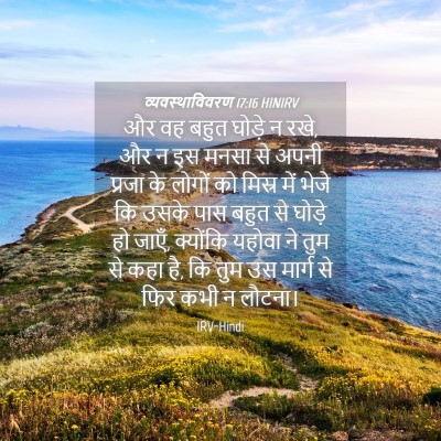 Picture 04 - व्यवस्थाविवरण 17:16 HINIRV - और वह बहुत घोड़े न - Bible Verse Picture