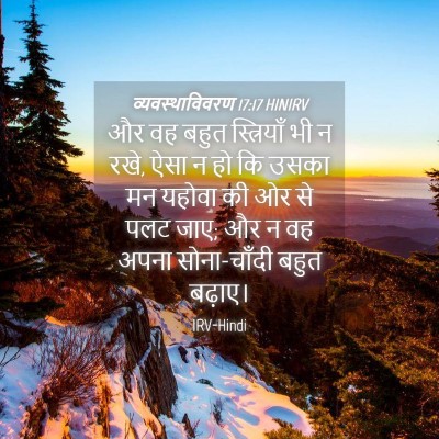 Picture 04 - व्यवस्थाविवरण 17:17 HINIRV - और वह बहुत - Bible Verse Picture