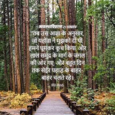 Picture 04 - व्यवस्थाविवरण 2:1 HINIRV - “तब उस आज्ञा के - Bible Verse Picture