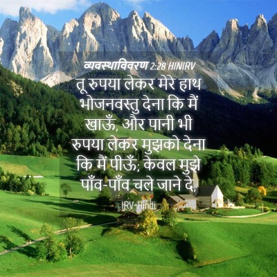 Picture 04 - व्यवस्थाविवरण 2:28 HINIRV - तू रुपया लेकर मेरे - Bible Verse Picture