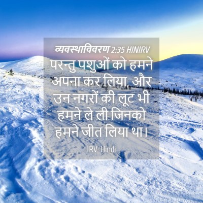 Picture 04 - व्यवस्थाविवरण 2:35 HINIRV - परन्तु पशुओं को - Bible Verse Picture