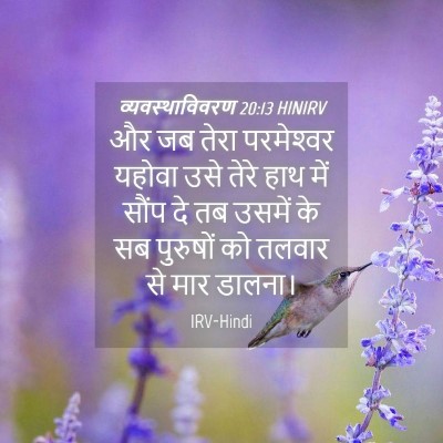 Picture 04 - व्यवस्थाविवरण 20:13 HINIRV - और जब तेरा - Bible Verse Picture