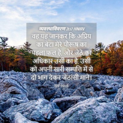 Picture 04 - व्यवस्थाविवरण 21:17 HINIRV - वह यह जानकर कि - Bible Verse Picture