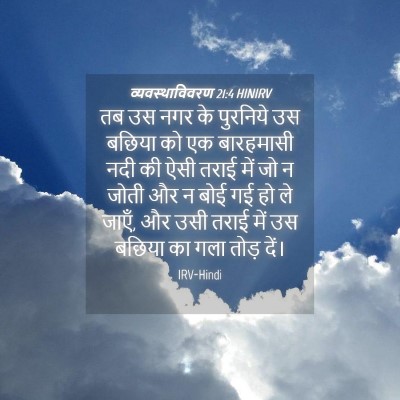 Picture 04 - व्यवस्थाविवरण 21:4 HINIRV - तब उस नगर के - Bible Verse Picture