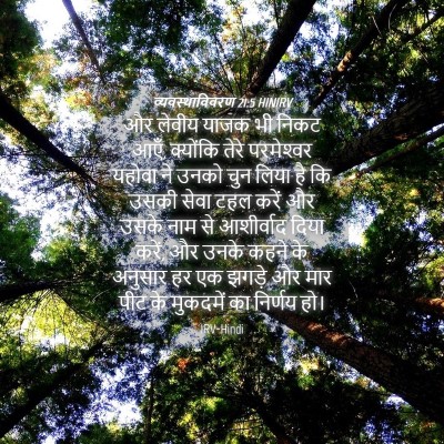 Picture 04 - व्यवस्थाविवरण 21:5 HINIRV - और लेवीय याजक भी - Bible Verse Picture