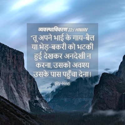 Picture 04 - व्यवस्थाविवरण 22:1 HINIRV - “तू अपने भाई के - Bible Verse Picture