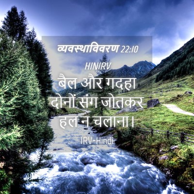 Picture 04 - व्यवस्थाविवरण 22:10 HINIRV - बैल और गदहा दोनों - Bible Verse Picture