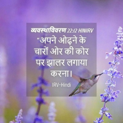 Picture 04 - व्यवस्थाविवरण 22:12 HINIRV - “अपने ओढ़ने के - Bible Verse Picture