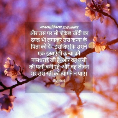 Picture 04 - व्यवस्थाविवरण 22:19 HINIRV - और उस पर सौ शेकेल - Bible Verse Picture