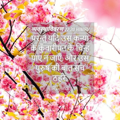 Picture 04 - व्यवस्थाविवरण 22:20 HINIRV - परन्तु यदि उस - Bible Verse Picture