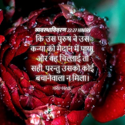 Picture 04 - व्यवस्थाविवरण 22:27 HINIRV - कि उस पुरुष ने उस - Bible Verse Picture