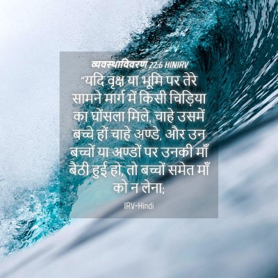 Picture 04 - व्यवस्थाविवरण 22:6 HINIRV - “यदि वृक्ष या भूमि - Bible Verse Picture