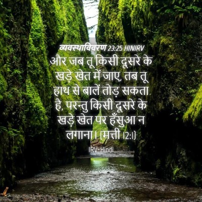 Picture 04 - व्यवस्थाविवरण 23:25 HINIRV - और जब तू किसी दूसरे - Bible Verse Picture