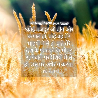 Picture 04 - व्यवस्थाविवरण 24:14 HINIRV - “कोई मजदूर जो दीन - Bible Verse Picture