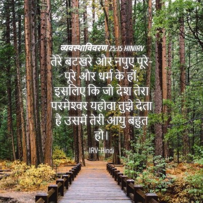 Picture 04 - व्यवस्थाविवरण 25:15 HINIRV - तेरे बटखरे और नपुए - Bible Verse Picture