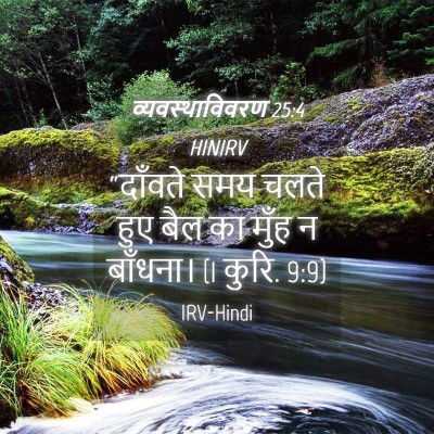 Picture 04 - व्यवस्थाविवरण 25:4 HINIRV - “दाँवते समय चलते - Bible Verse Picture