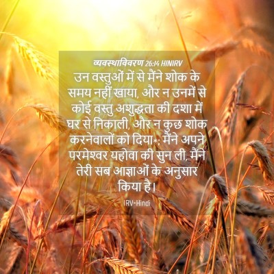 Picture 04 - व्यवस्थाविवरण 26:14 HINIRV - उन वस्तुओं में से - Bible Verse Picture