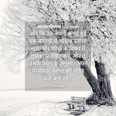 Picture 04 - व्यवस्थाविवरण 26:19 HINIRV - और कि वह अपनी बनाई - Bible Verse Picture