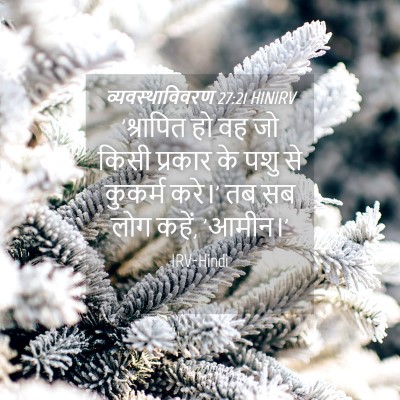 Picture 04 - व्यवस्थाविवरण 27:21 HINIRV - 'श्रापित हो वह जो - Bible Verse Picture