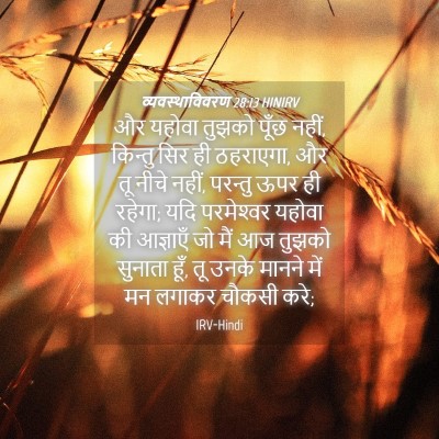 Picture 04 - व्यवस्थाविवरण 28:13 HINIRV - और यहोवा तुझको - Bible Verse Picture