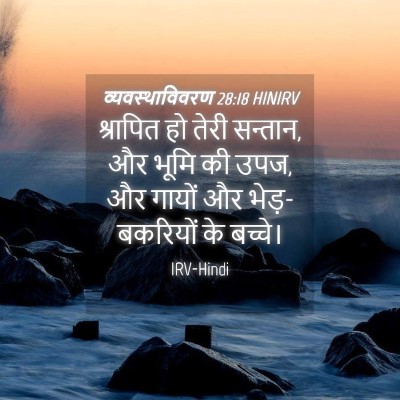 Picture 04 - व्यवस्थाविवरण 28:18 HINIRV - श्रापित हो तेरी - Bible Verse Picture