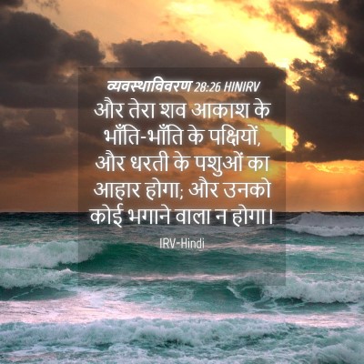 Picture 04 - व्यवस्थाविवरण 28:26 HINIRV - और तेरा शव आकाश के - Bible Verse Picture