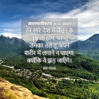 Picture 04 - व्यवस्थाविवरण 28:40 HINIRV - तेरे सारे देश में - Bible Verse Picture