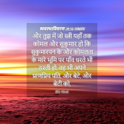 Picture 04 - व्यवस्थाविवरण 28:56 HINIRV - और तुझ में जो - Bible Verse Picture