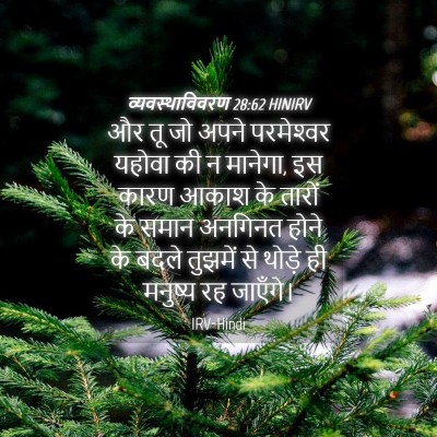 Picture 04 - व्यवस्थाविवरण 28:62 HINIRV - और तू जो अपने - Bible Verse Picture