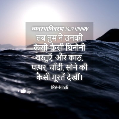 Picture 04 - व्यवस्थाविवरण 29:17 HINIRV - तब तुम ने उनकी - Bible Verse Picture