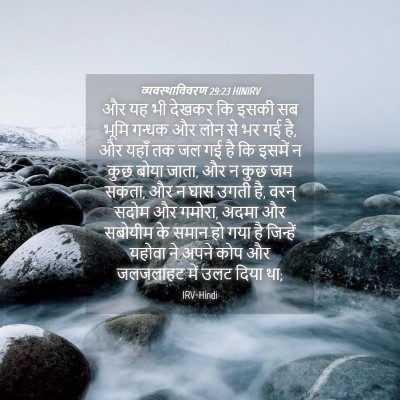 Picture 04 - व्यवस्थाविवरण 29:23 HINIRV - और यह भी देखकर कि - Bible Verse Picture