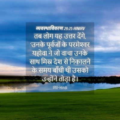 Picture 04 - व्यवस्थाविवरण 29:25 HINIRV - तब लोग यह उत्तर - Bible Verse Picture